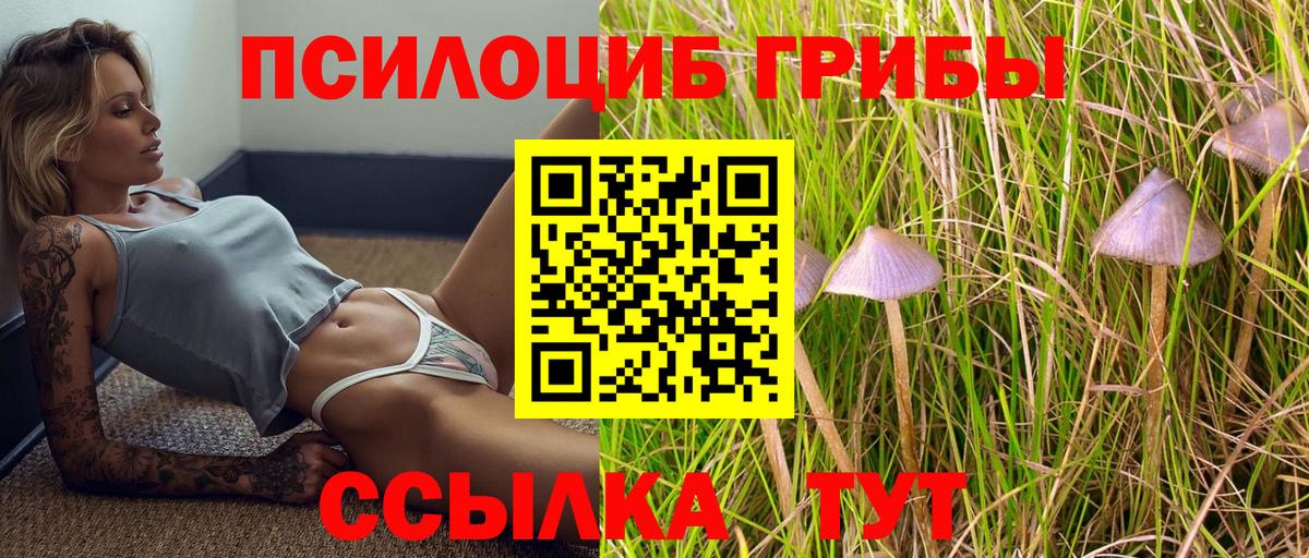 Галлюциногенные грибы мицелий  Вход с VPN  Каменка 