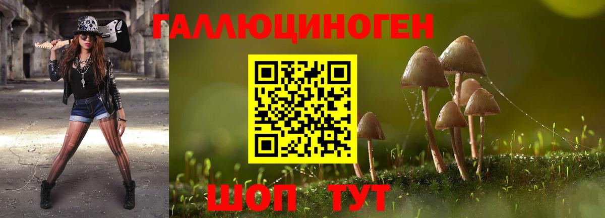 Псилоцибиновые грибы ЛСД Каменка